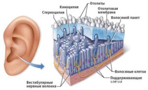 Краткая история криодинамики
