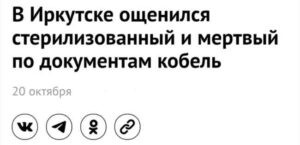 Штамповка на экспорт знаменитых и успешных