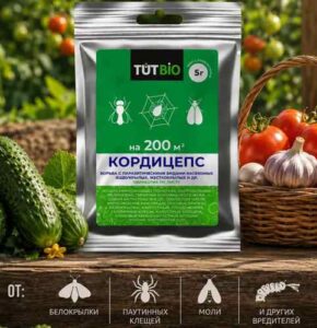 Таурин - очередная панацея