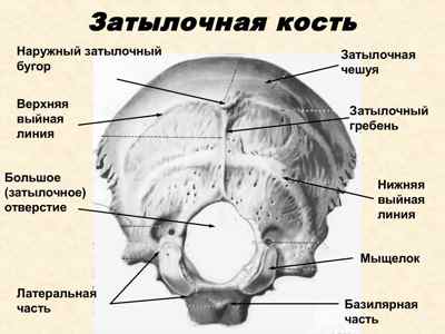 ❄ Индивидуальные схемы ❄ Индивидуальные схемы