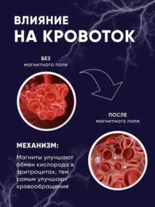 ❄ Замороженные магниты разморозят мозг